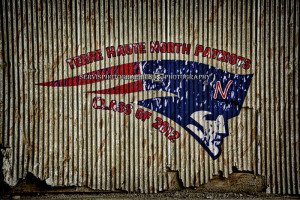 Terre Haute North High School Logo Class of 2012 Grunge Logo